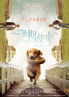 清晰在线播放观看