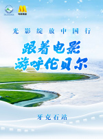 DVD高清完整版