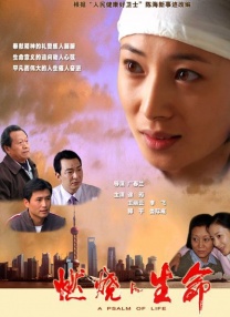 1080HD手机在线观看