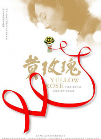 DVD无删减90分钟观看